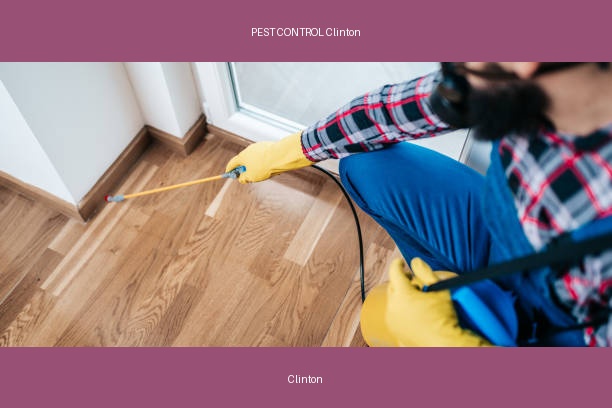 PEST CONTROL Clinton